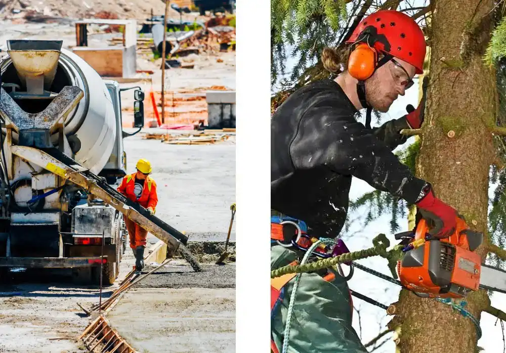 Professional Concrete and Tree Services Professional Concrete and Tree Services